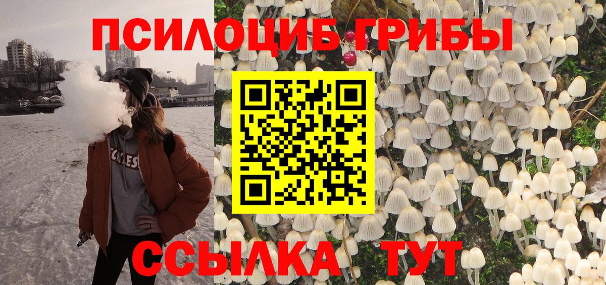 Кирово-Чепецк  Галлюциногенные грибы Psilocybine cubensis  Галлюциногенные грибы Psilocybe  Вход с VPN 